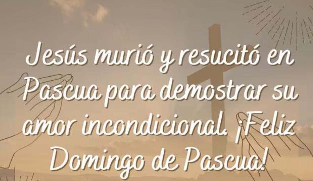 Somos llamados a la vida