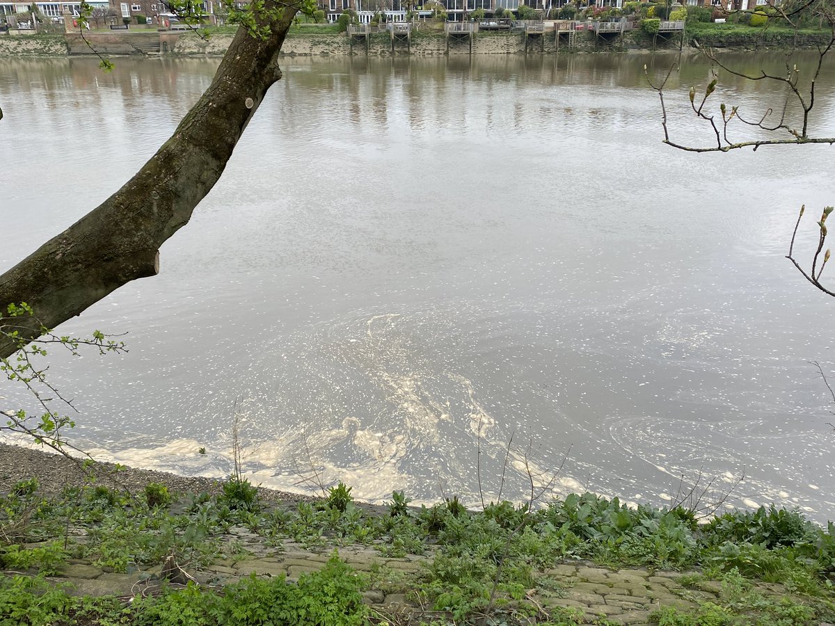 The Boat Race finish line today.

Not sure what this is but it doesn’t look good.

#BoatRace2024 

@Feargal_Sharkey