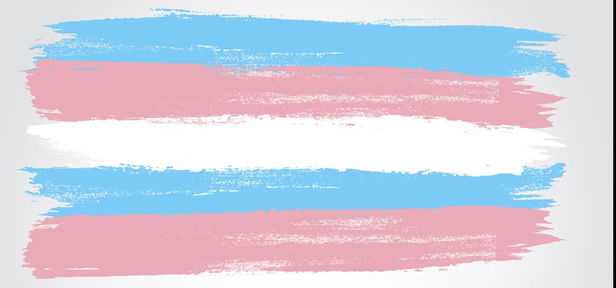 #TransDayOfVisibility. I am grateful for the wisdom of the trans people in my life who have guided my understanding. I am in awe of their courage and dignity in the face of cruelty. I am thankful for their friendship. lgbthero.org.uk/fs164-gay-men-…