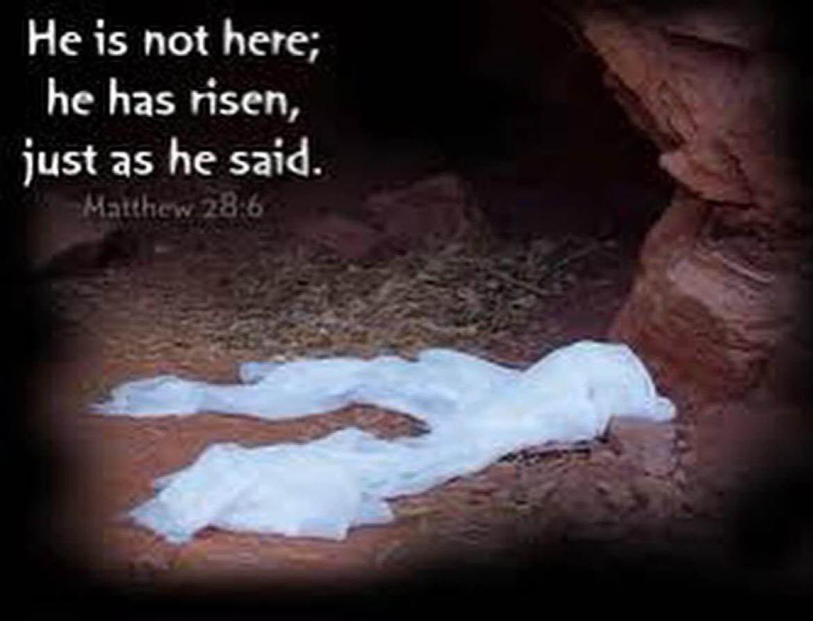 Pocono Turfgrass tweet media