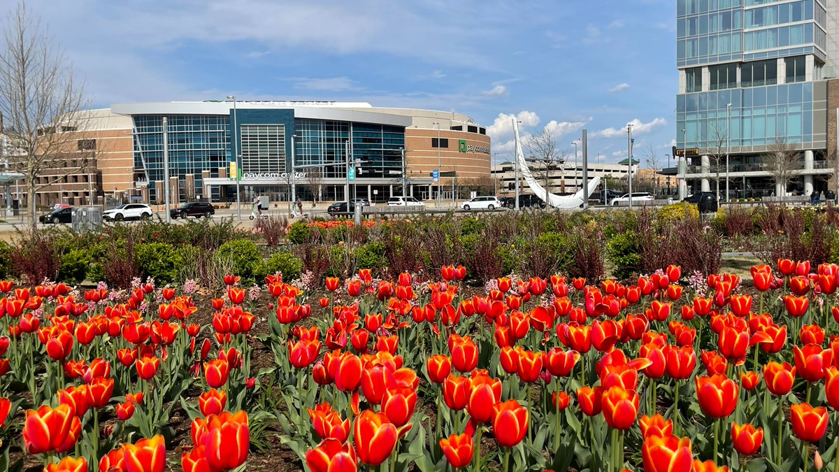 Happy Easter! May your day be as bright and beautiful as the flowers in bloom! 🌸🐣 📸 @ScissortailPark