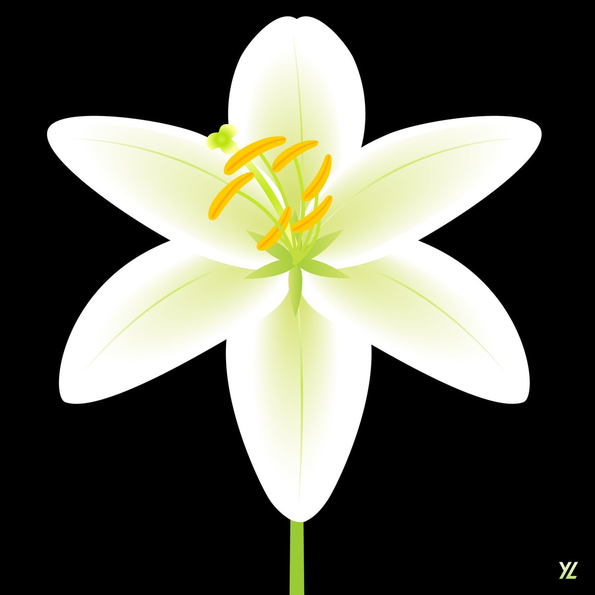 Did you know why lily is a symbol of Easter?Originating in Japan, it represents rebirth. Biblically linked to Eve & Christ, it symbolizes hope. In Greek mythology, it means motherhood. In China, Lilies are 百合, signify 100 years of love 百年好合. I made this w/ @AdobeDrawing