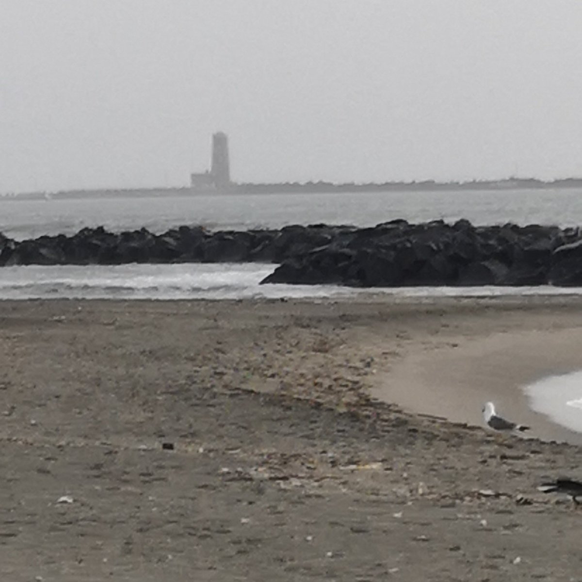 WebmasterX64's tweet image. 