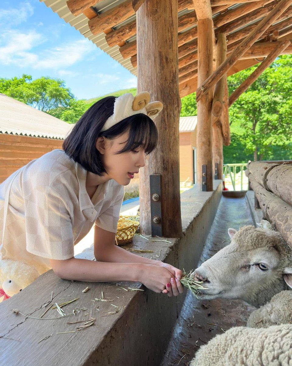 piyooei's tweet photo. ˚˖𓍢🌷✧˚.🎀⋆ https://t.co/Sr0GRAtjRA