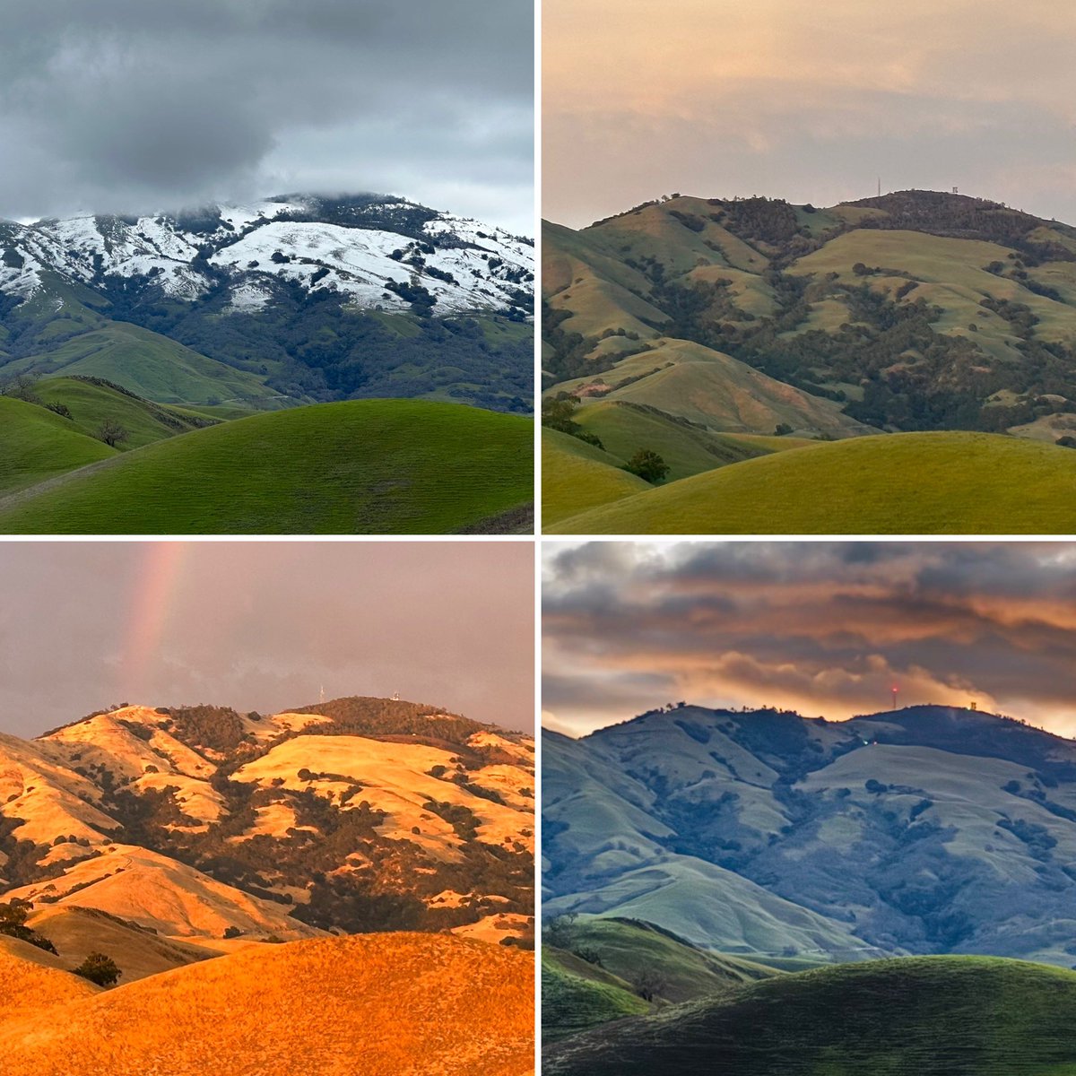 asclepias's tweet photo. Mt. Diablo through the seasons! 😃 https://t.co/ZDcAiQyCHt