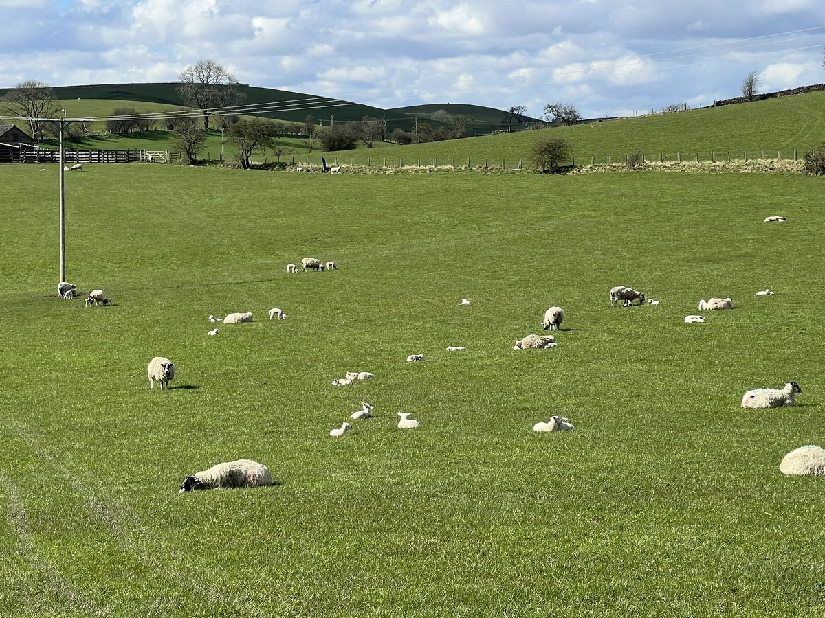 Feeling so incredibly grateful and lucky to live in such a beautiful place, dreams do come true 🥰☺️😘 #peaceful #beautiful #Yorkshiredales