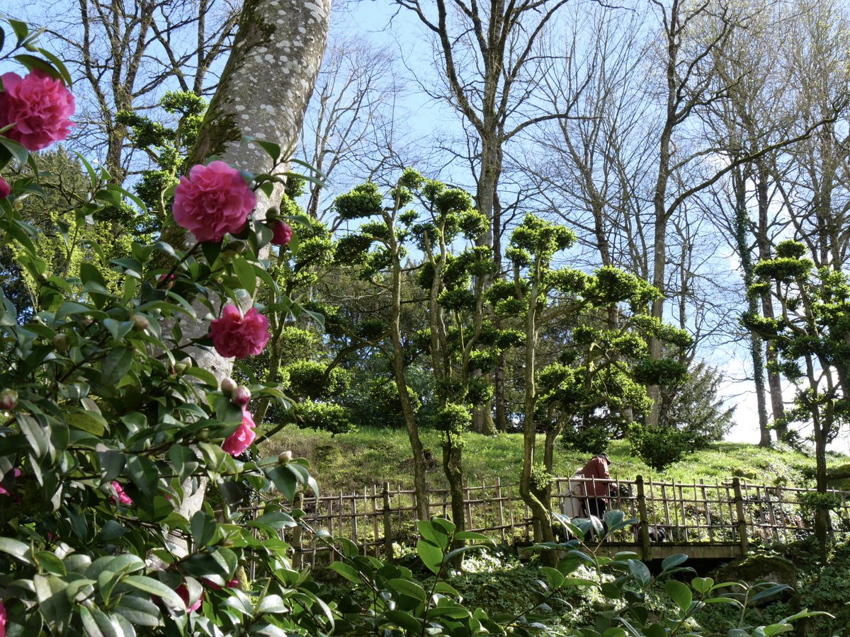 Parc Oriental tweet media