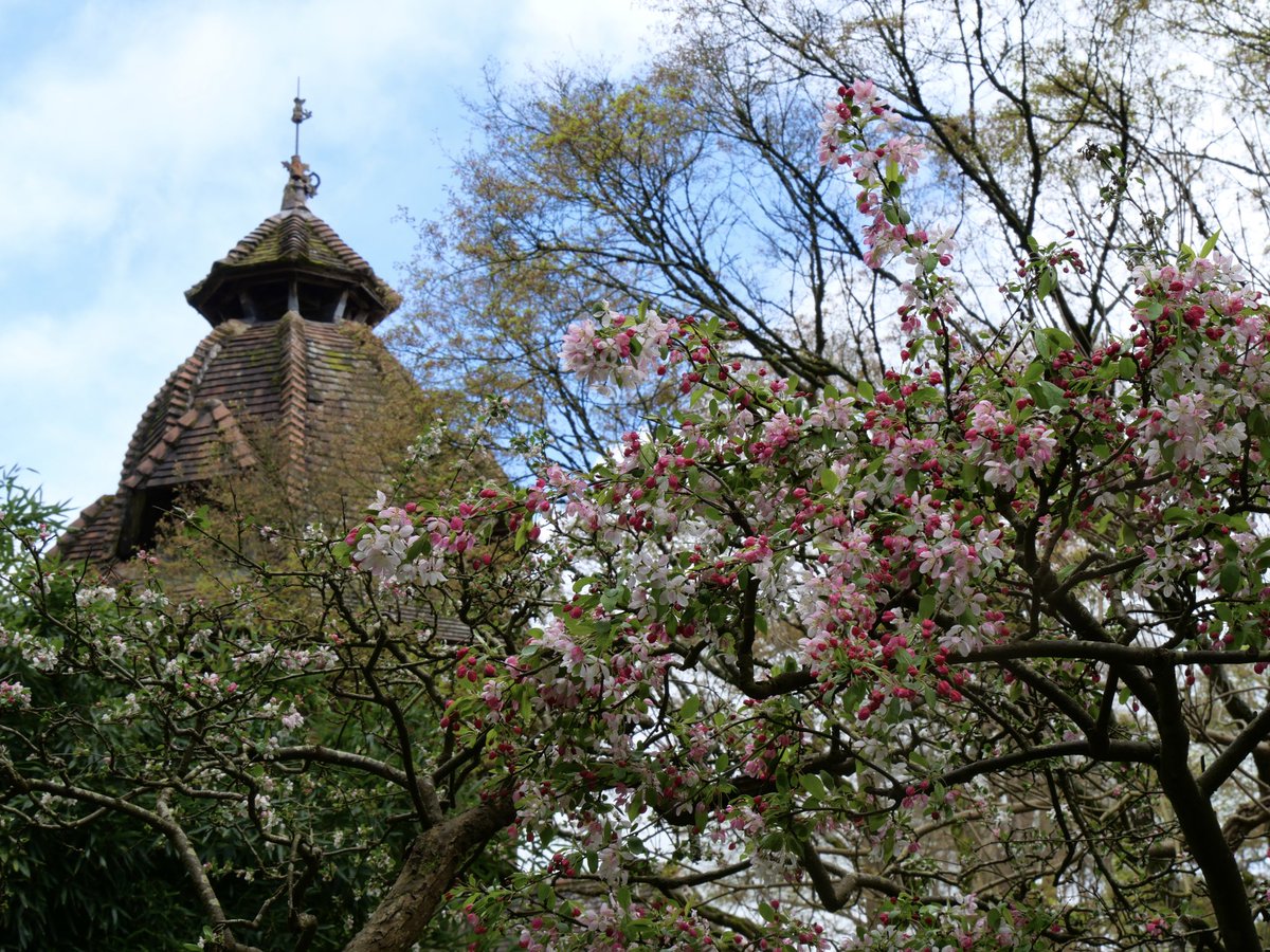 Parc Oriental tweet media