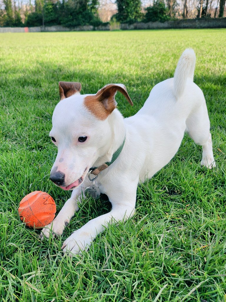 Sunny and warm park day!