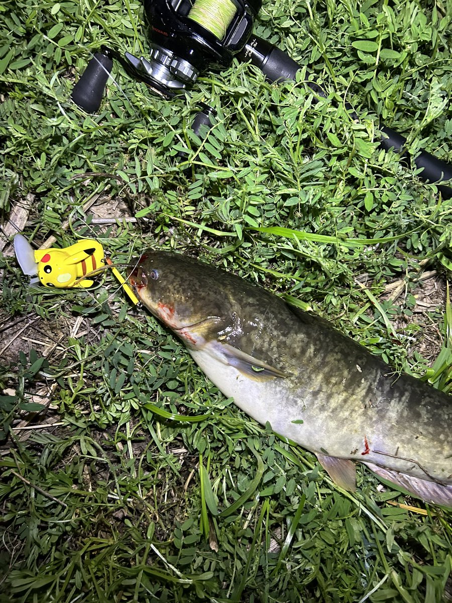 tnksaka91's tweet photo. こうかはばつぐんだ! ⚡️💧
#DUOモニター
#POKEMONFISHING
#BACKDOORPROJECT https://t.co/fWYpzFki12