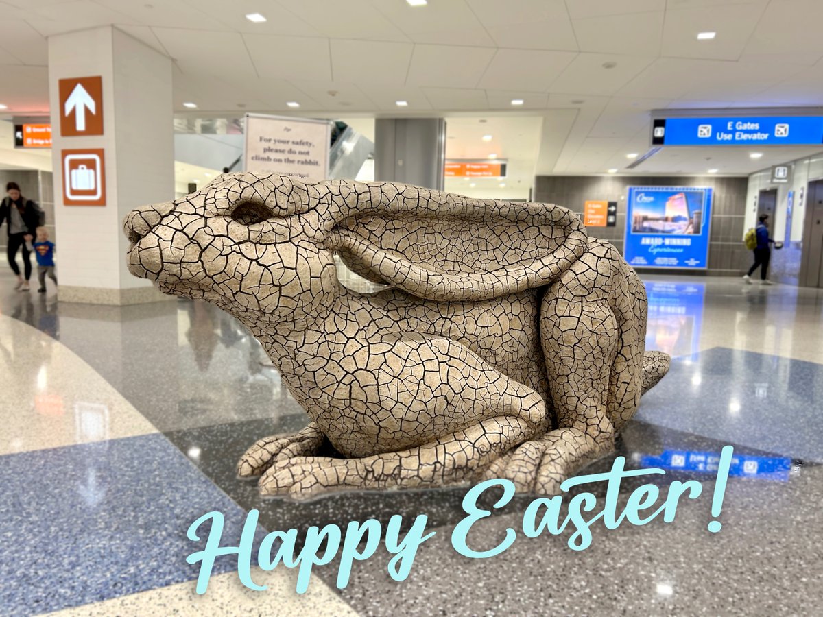 Happy Easter from your friends at LAS — and our desert hare! 🐇