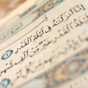 علي عبد العزيز  الذياب tweet media