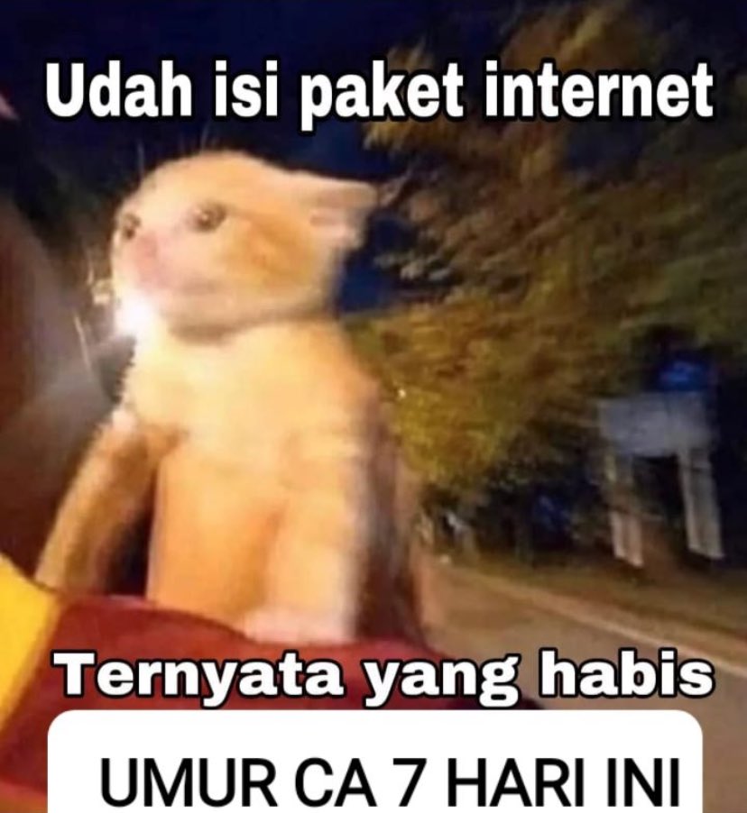 lreoha's tweet photo. First of all, makasih banyak ya buat Valiants yang udah aktif, bonding bareng, have fun bareng, dan kerja keras selama 7 hari di TheDreamtival! 🥺

Ecel bangga banget sama kalian semua yang udah berusaha kasih yang terbaik disini! You did well. 💛 (nangis) https://t.co/1hmmy1vRjK