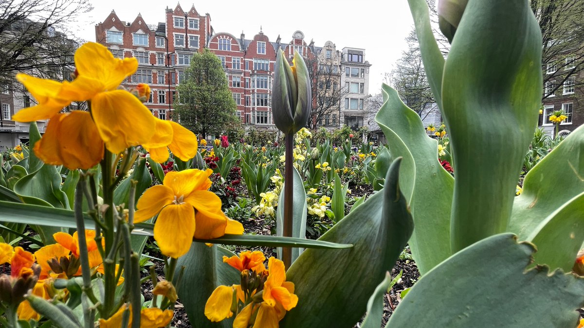 Golden Square - #soho