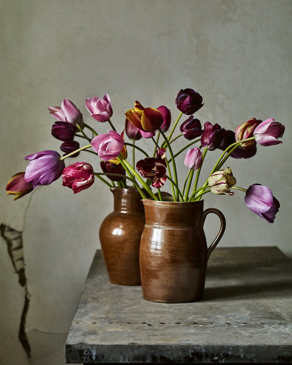 'The Tulip Garden' by Polly Nicholson is an inspirational introduction to growing and collecting tulips, set against the backdrop of a beautiful English garden. 🌷Dutch Historic breeder and broken tulips 📸 Andrew Montgomery 📗 Order here: eu1.hubs.ly/H08fz7d0