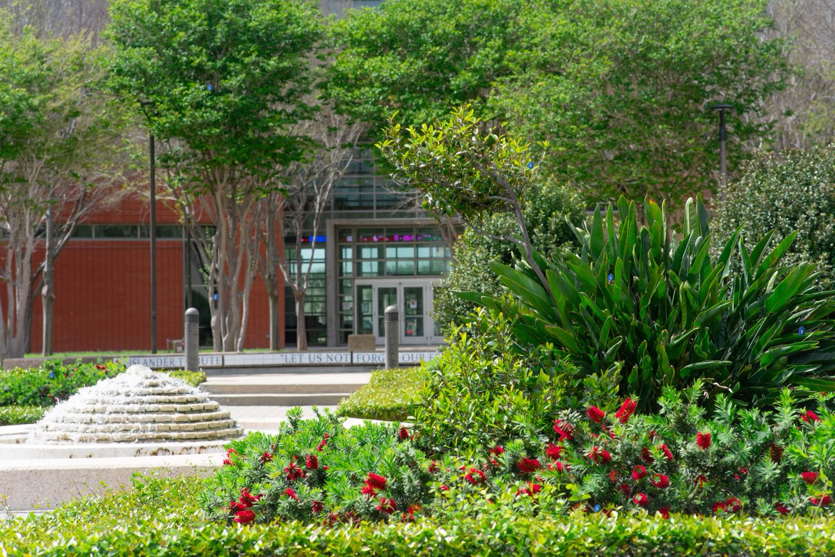 Easter Egg Hunt! 🐰 Can you spot the 7 blue eggs hidden in this photo? Wishing everyone a wonderful Easter weekend! 🌸🐣 #tamucc