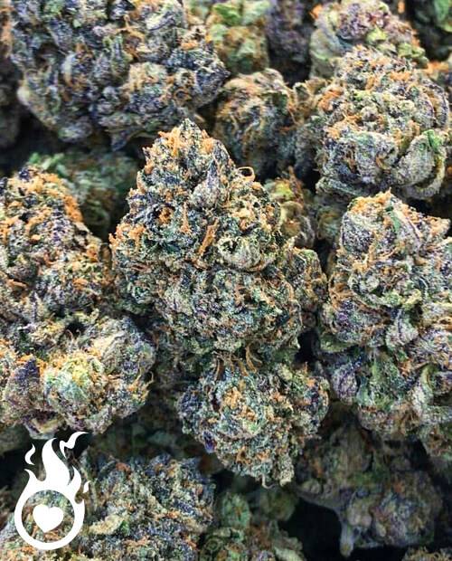 Retrouvez votre zen avec le cannabis AK47 HHCPO 🌿. Une relaxation créative vous attend au-delà du #THC. 

Légal dans l'UE, FR et plus si THC >0.2% 🌍
Osez explorer - rejoignez le cercle exclusif💪 !

👉️heartjacking.com/fr/291-cannabi… 

#ZenCannabis #LegislationEU #relax #decouverte