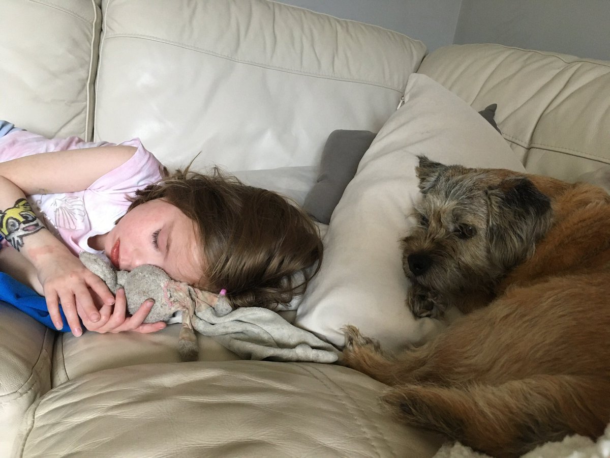 Here’s me looking after my poorly grandhoopup before she went to hospital. Thank you to everyone who has donated so far. If there’s anyone else who can help please do. gofundme.com/f/mia-liver-an…