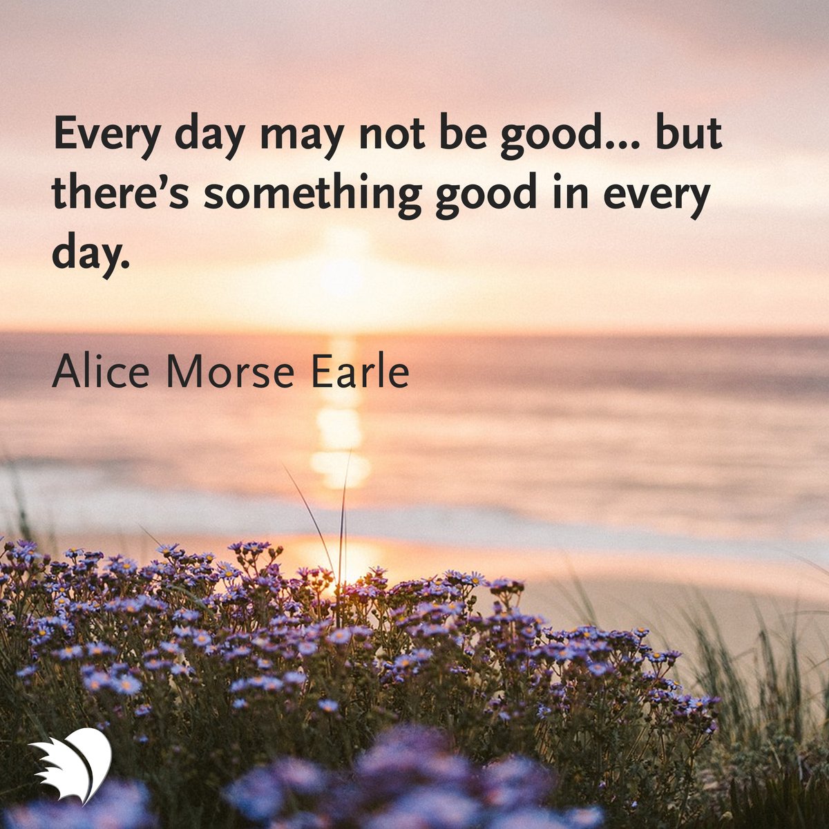 Every day may not be good… but there’s something good in every day 💜 #PHACanada #PositiveVibes #PositiveQuote #PHcommunity #MotivationalQuotes