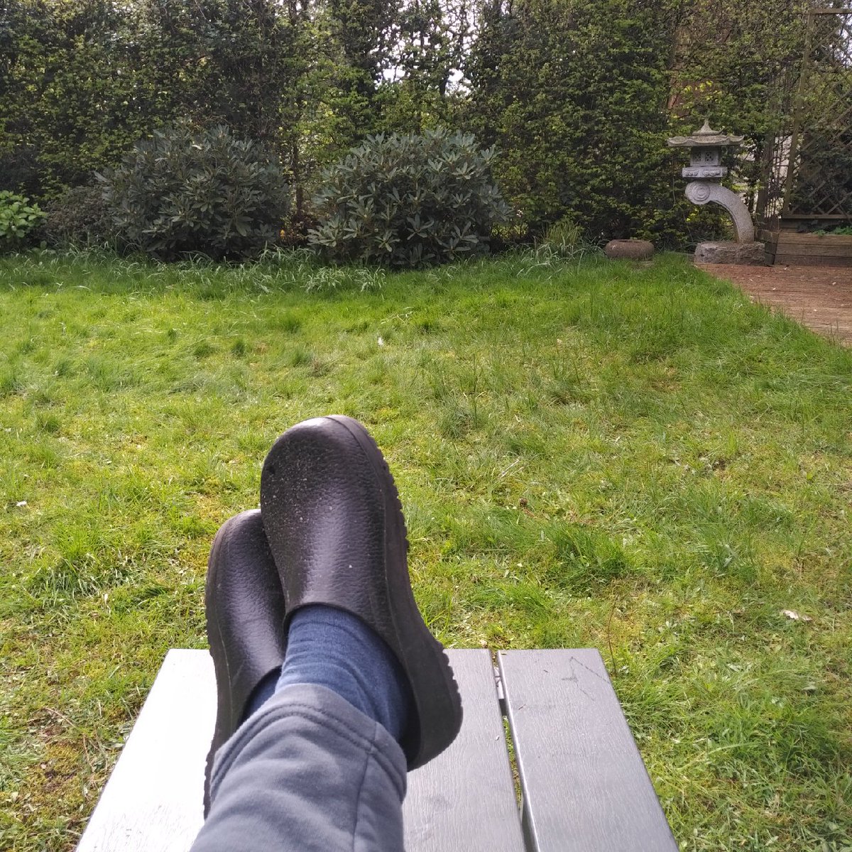 v_i_o_l_a's tweet photo. I herewith declare the im Garten sitzen season open. 😊 #frühling #2024 #diehellendinge https://t.co/Msu1WTMVln