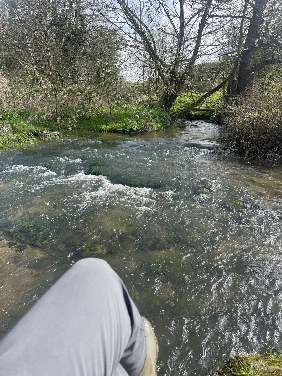 One of my favourite places to sit with the dog. What’s left of the Kentish countryside is glorious. ☀️ 🐣 🐾