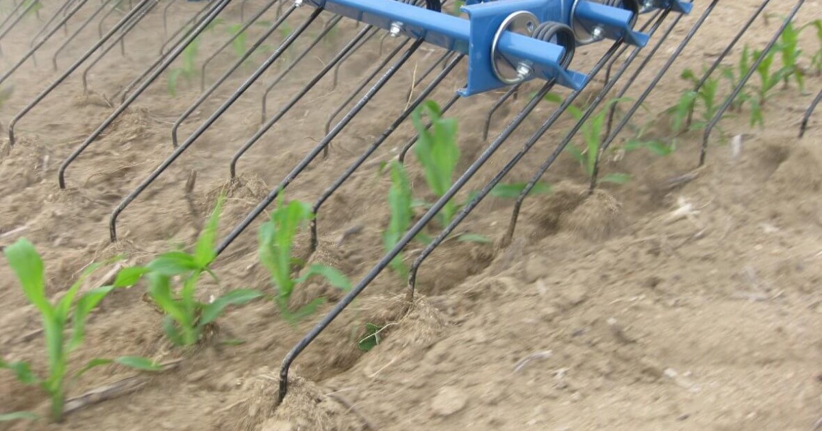 OPICOag's tweet photo. OPICO's mechanical weeding Comb Harrows offer ultimate contour following ability on uneven ground, on every working width up to the widest 27m model ↔️

Suitable for both organic &amp; non-organic systems - discover more here: https://t.co/wlX0OY5Aro https://t.co/2H9VpORue1