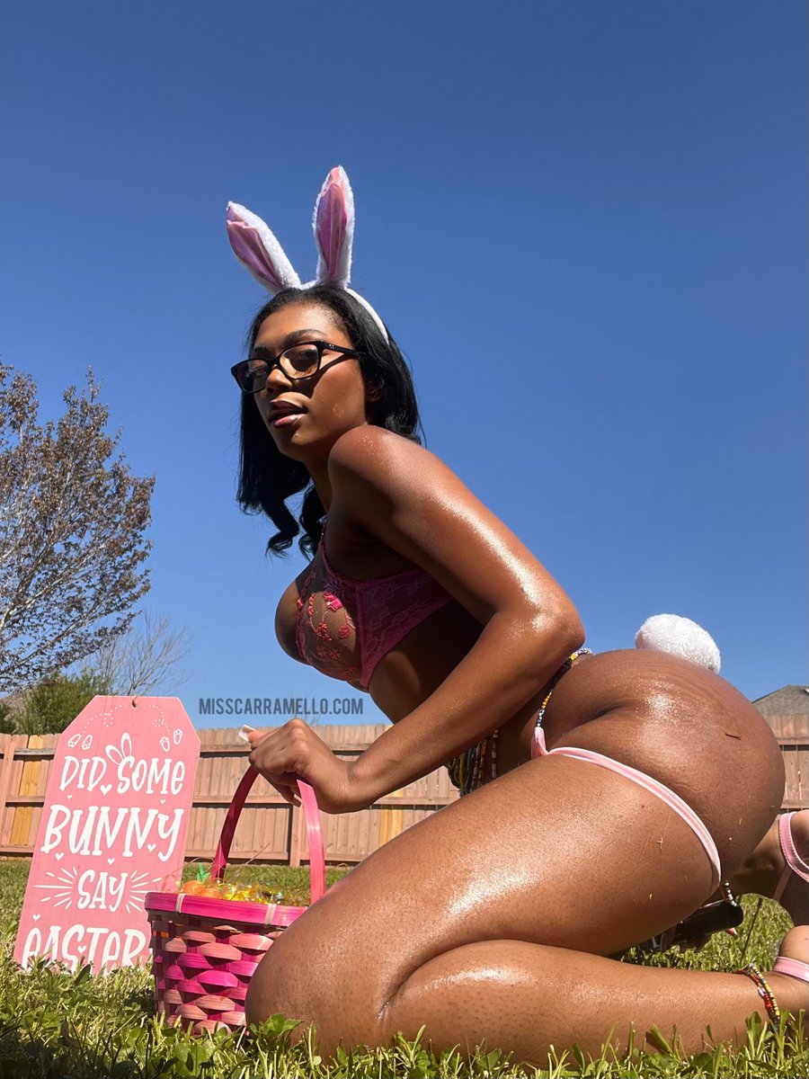 🐰