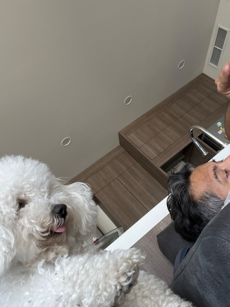 Mauricio Brumel tweet media