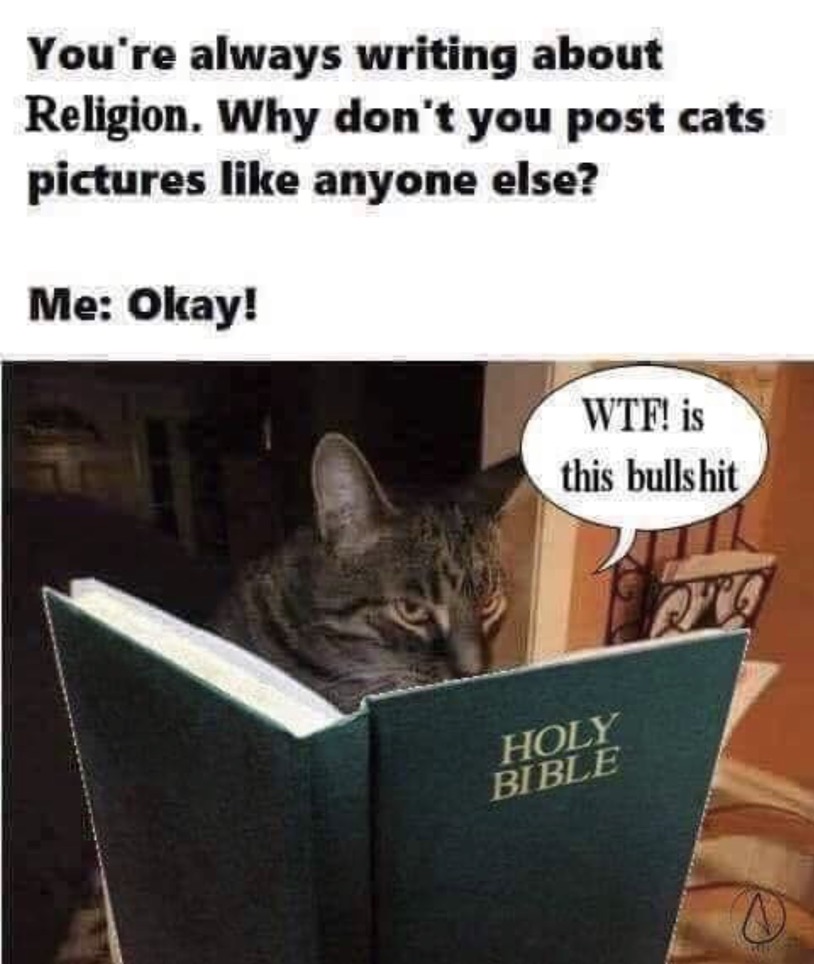 Ok, enough with the religion posts? 

Enjoy this photo of a cat.  
#Atheist #EmptyThePews 
#ReligionPoisonsEverything #SacrilegeSunday 
#SacrilegeEaster #CultureOfCorruption 
#LyingForJesus