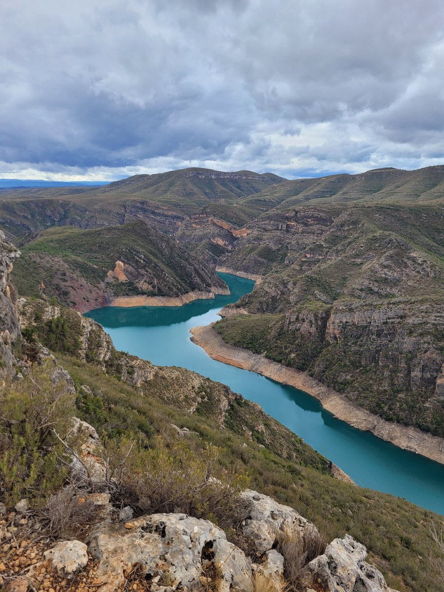 Jose ortega mateu tweet media