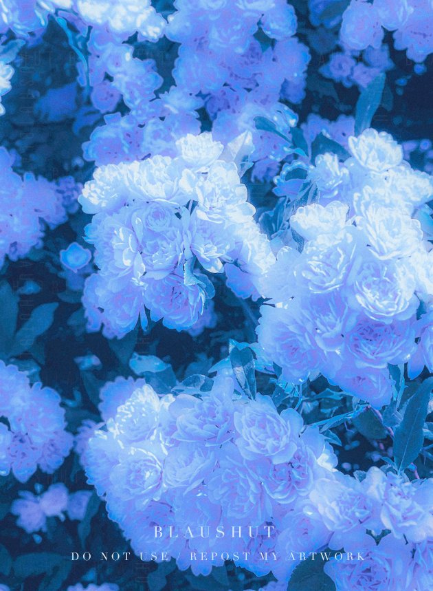 blaushut's tweet photo. 3월은 봄과 함께 https://t.co/xbaHlDfo3e