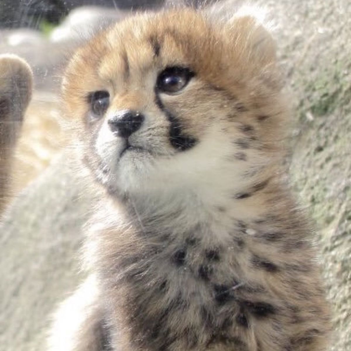 #마크 #MARK
#만우절 #AprilFoolsDay