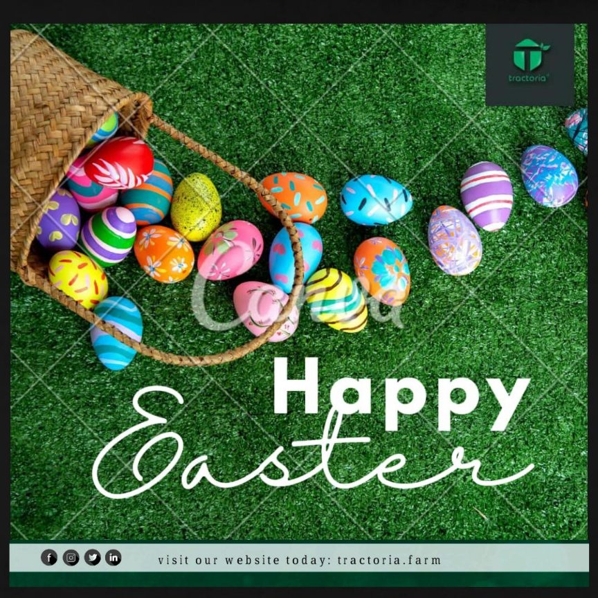 We wish you a new experience of joy and bliss He has given to us through his sacrifice on the cross.
Happy Easter Tractorians!
.
.
#easter2024 #eastersunday #happyeaster #christ