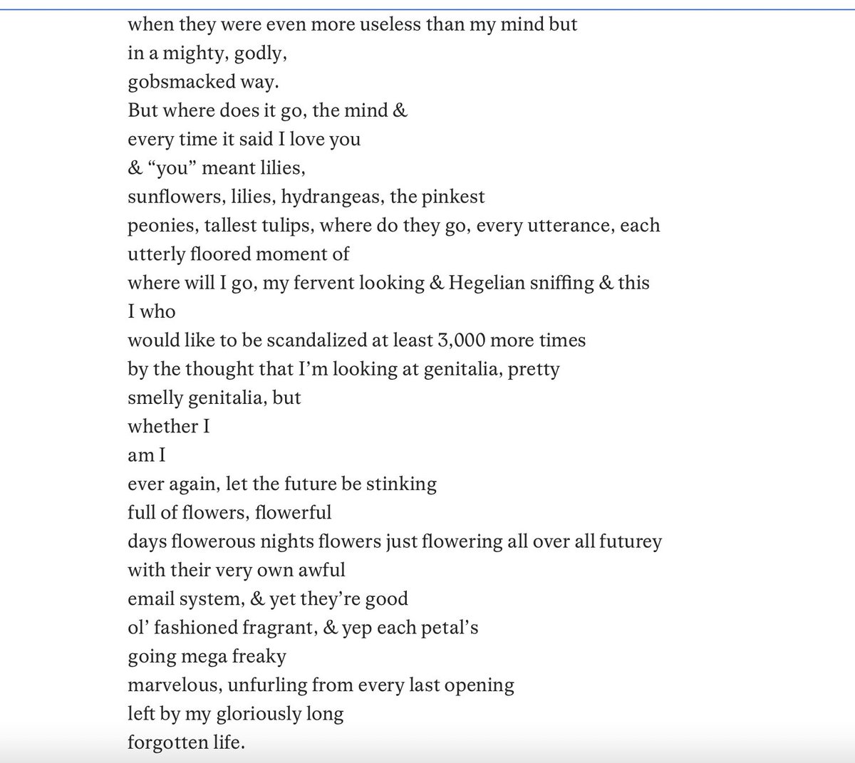 i've got a new poem in @OxonianReview. it's called 'To Whom It May Delight' and it's about flowers, death, the mind, the nose, emails, beauty, living, art making, and flowers. oxonianreview.com/articles/to-wh…