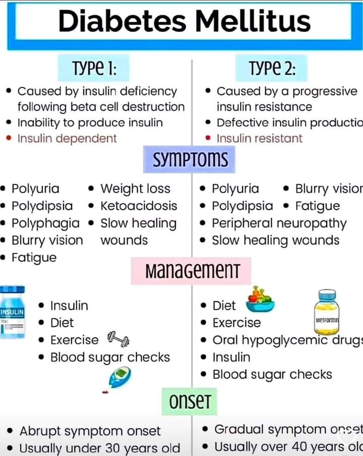 chilli_milli5's tweet photo. GOOD Night X Family ❤️
Diabetic Mellitus.
Types
Symptoms
Management
Onset
#Medicare #Medical_Knowledge https://t.co/vKMu3cOKDb
