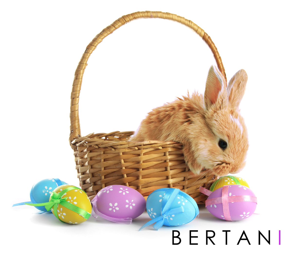 Happy Easter to all of our clients and friends celebrating! 

#HappyEaster #EasterSunday
