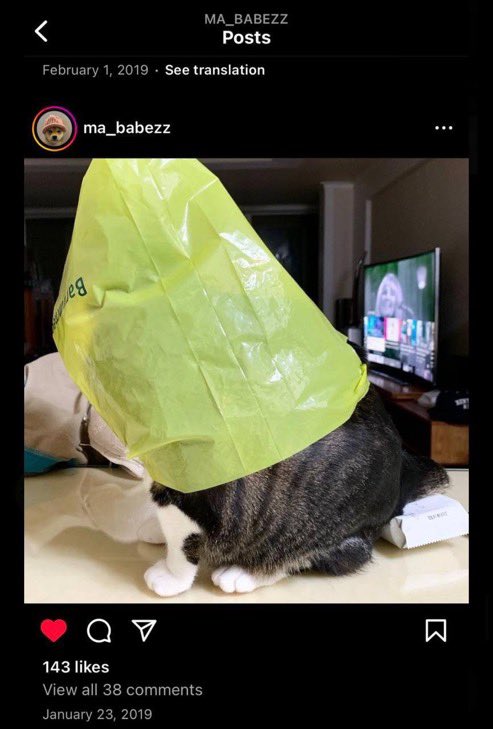 wifbag's tweet photo. @IHunt100xGems Bag The Globe. https://t.co/wjoLRv9YaT