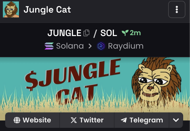 JungleCatSol's tweet photo. Dex updated $JUNGLE https://t.co/V8rklrSs0J
