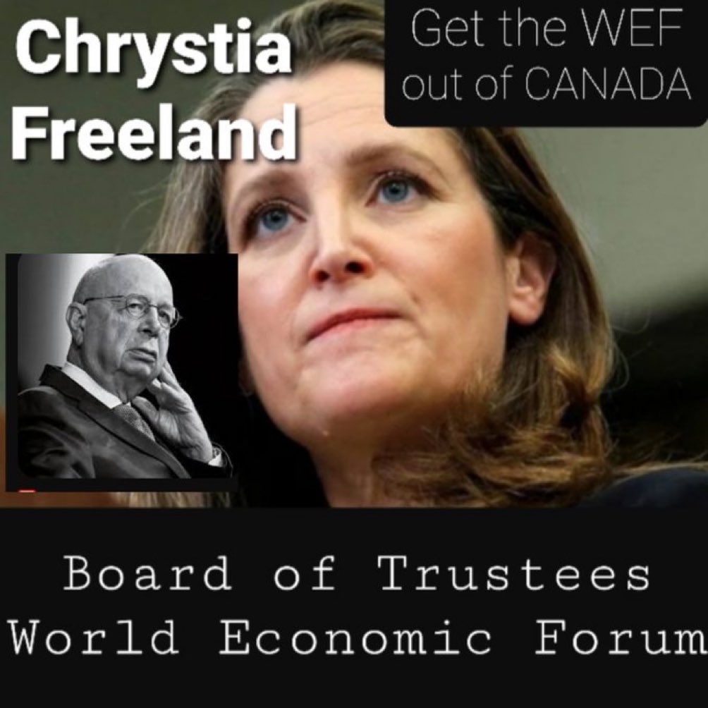 Concern70732755's tweet image. There is no place in our political mosaic for the WEF -ensure that any MP that you vote for his no affiliation with the WEF or any other transnational that wants to place influence on our decision making &amp;amp; sovereignty!!