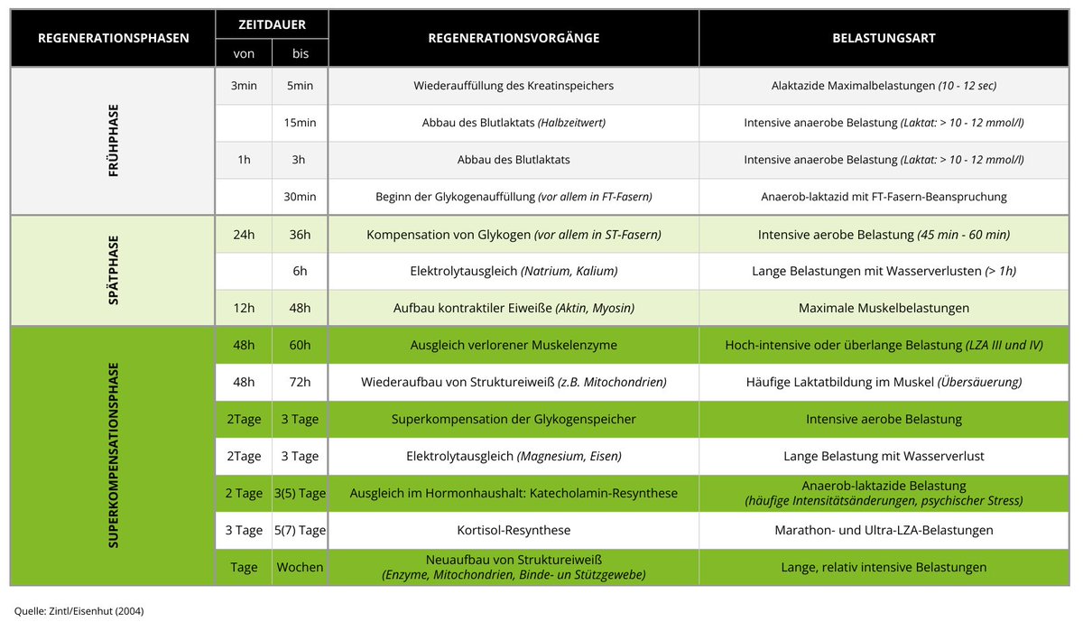 REGENERATION - der komplexe Prozess von Erholung und Wiederherstellung des Körpers nach Belastungen ist individuell und variiert dementsprechend. 
Wie und wann funktioniert eine stabile Anpassung einzelner Funktionssysteme? #Regeneration #Training