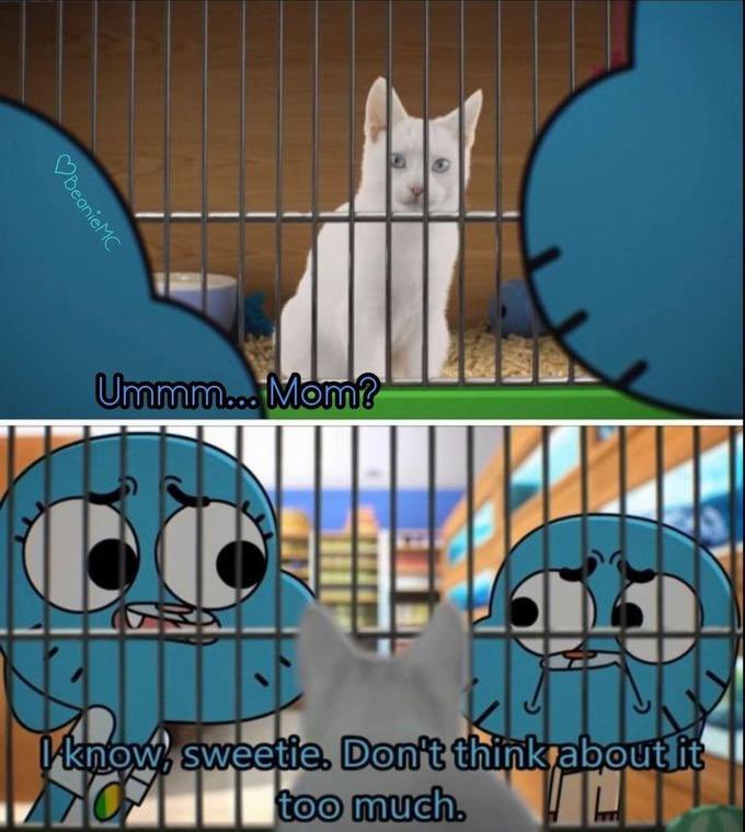 I’m curious…those of y’all with anthro/furry stories (like Lackadaisy, Zootopia, etc: how do you deal with pets/non anthro animals? Do you just exclude them or pull a Gumball lol