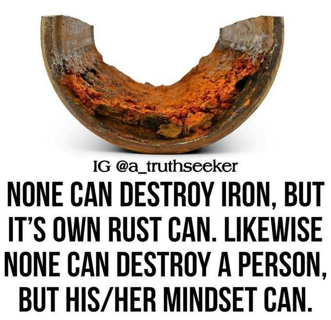 Coach the Coaches tweet media