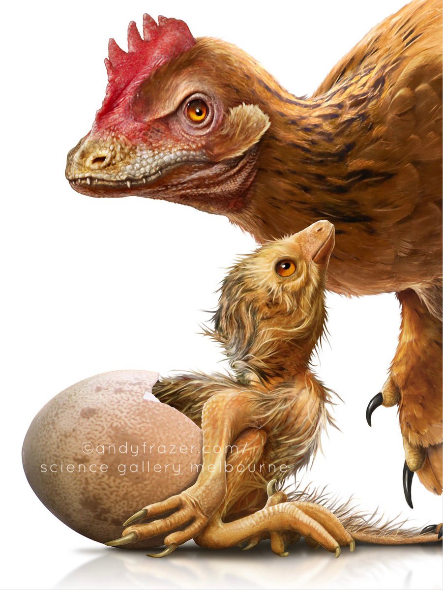 Easter Chick(enosaurus). Detail from an illustration I worked on for @scigallerymel ‘s “Not Natural” exhibition.