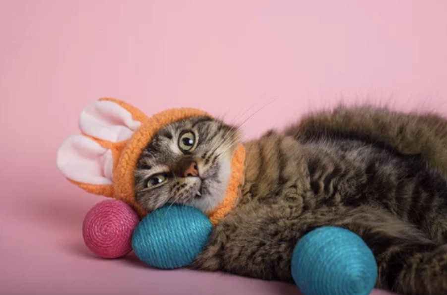 happy easter. there. i made an eggfort.