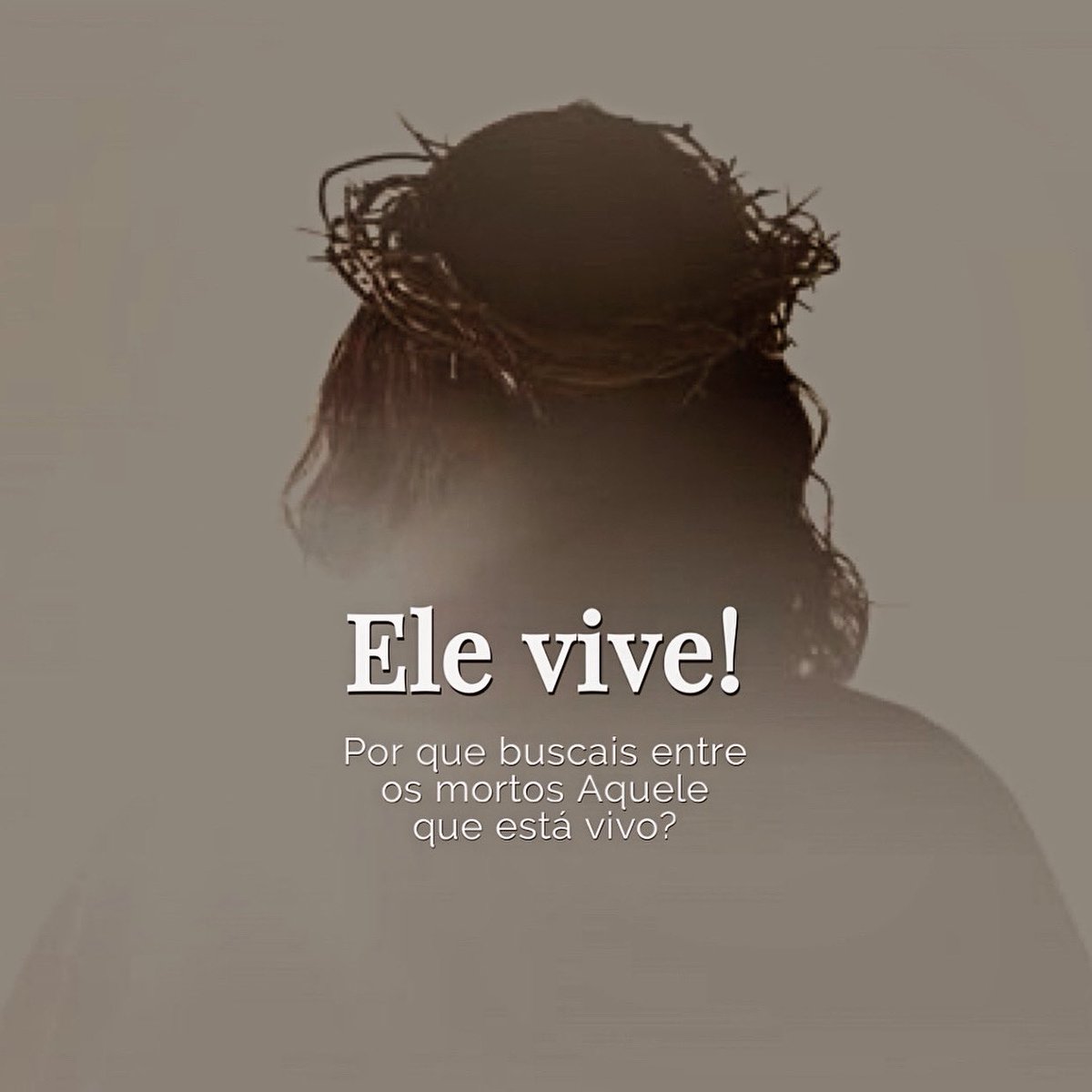 EMRamos87's tweet photo. @mtst Ele vive! Ele vive! Ele vive! Jesus Cristo viveeeee!!!! https://t.co/O4NchxC1yZ