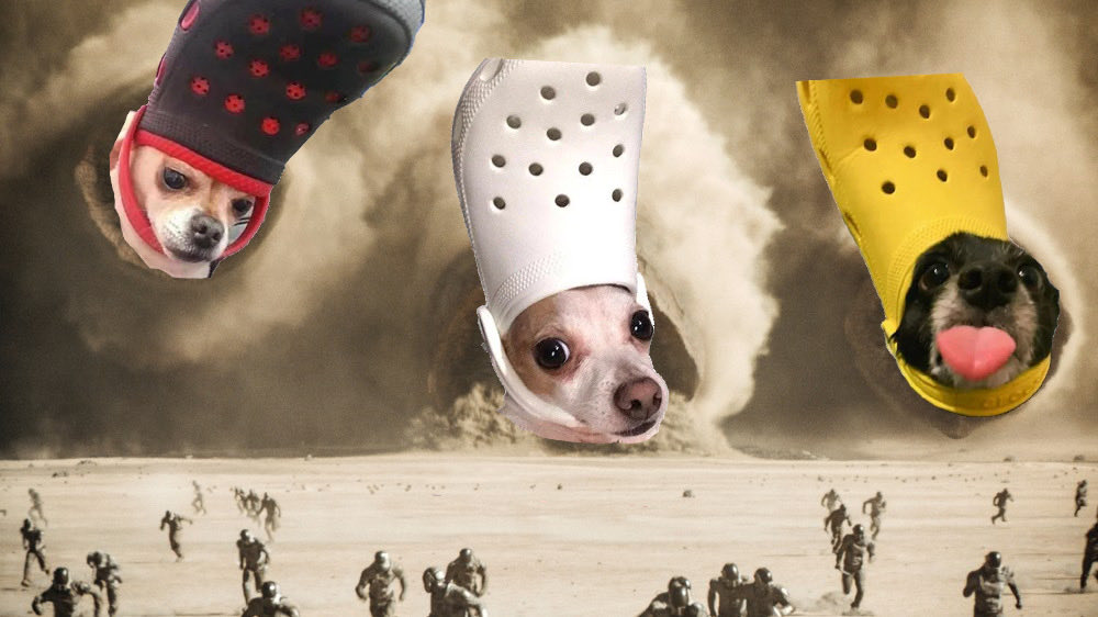 NotOnBooze's tweet image. 