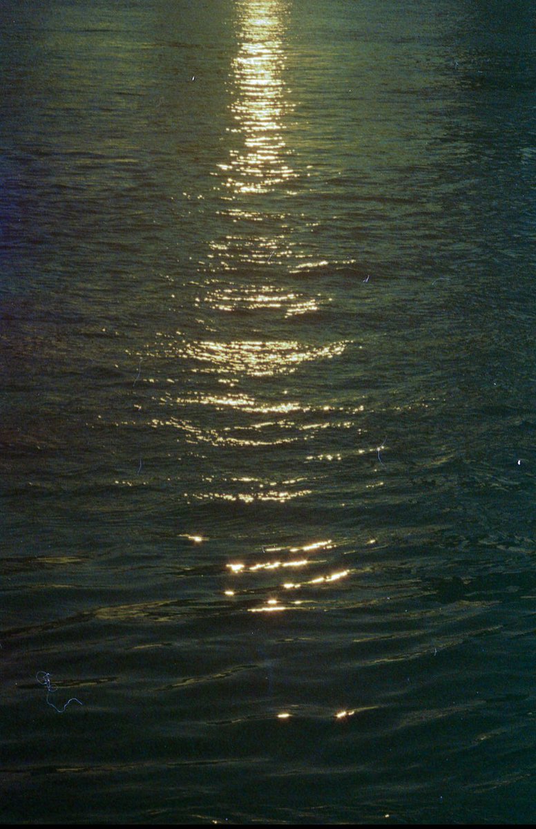 angel 🌙 tweet media