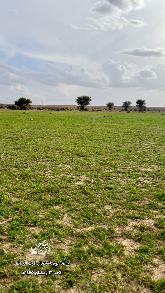 algnobe2000's tweet photo. شاهد ربيع روضة بوضة ( بعل المفاقيع ) 
غرب العيينة جنوب سدوس الواقعة شمال غرب العاصمة الرياض ٣٠كم 
بعد الامطار الاخيرة بدات الارض تخضر ونباتها يغلب عليه الثيل في مناطق متفرقة منها 
ومحدوده

اليوم الاحد ٢١ رمضان ١٤٤٥هـ

موقعها
https://t.co/3uCROMeLGd

عدسة عبدالله البرغش

الجنوبي ٢٠٠٠