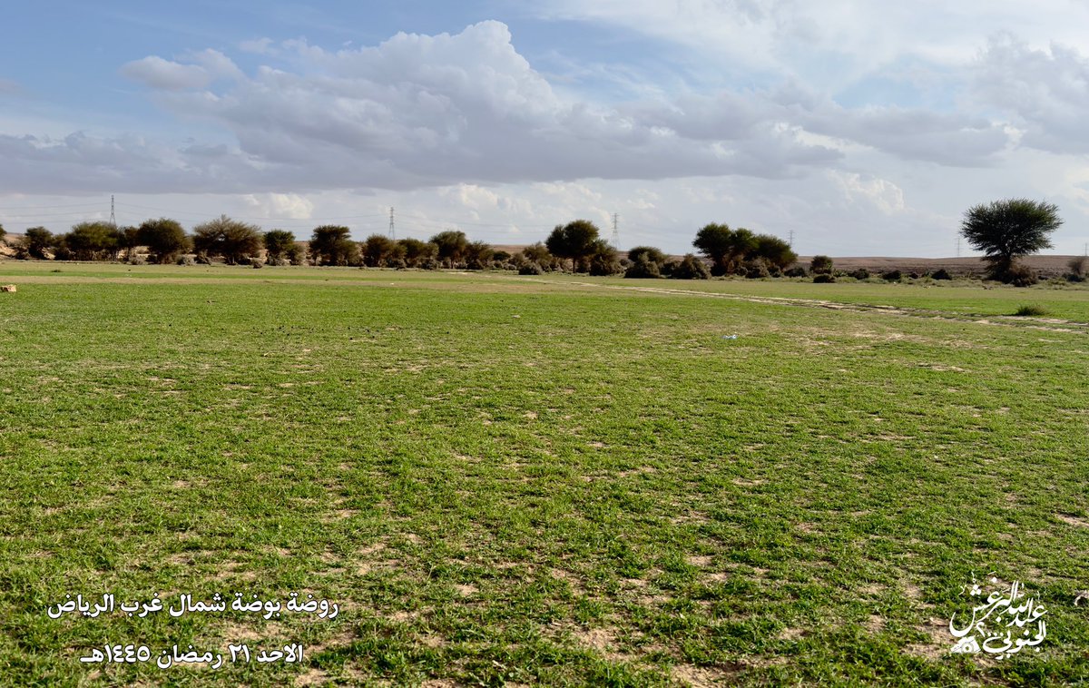 algnobe2000's tweet photo. شاهد ربيع روضة بوضة ( بعل المفاقيع ) 
غرب العيينة جنوب سدوس الواقعة شمال غرب العاصمة الرياض ٣٠كم 
بعد الامطار الاخيرة بدات الارض تخضر ونباتها يغلب عليه الثيل في مناطق متفرقة منها 
ومحدوده

اليوم الاحد ٢١ رمضان ١٤٤٥هـ

موقعها
https://t.co/3uCROMeLGd

عدسة عبدالله البرغش

الجنوبي ٢٠٠٠