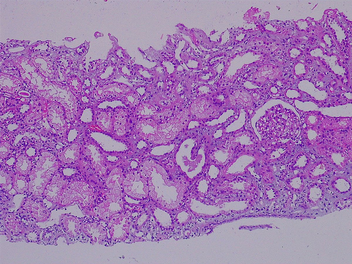 sudhir babu tweet media